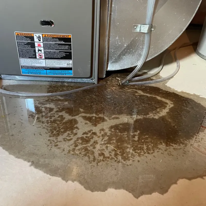 Appliance Leak Cleanup in Vincent, CA